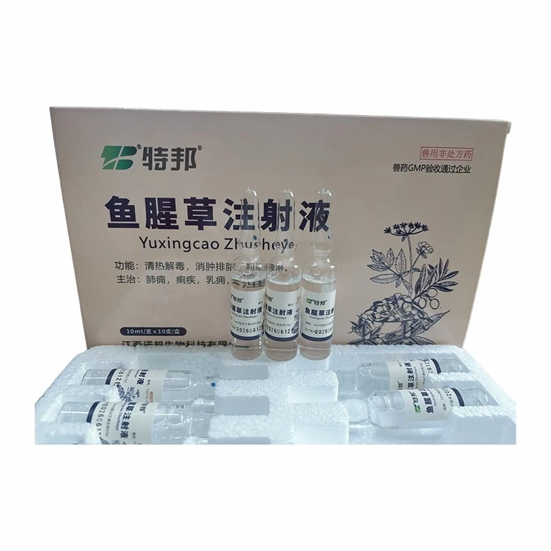 Houttuynia Cordata Extract Injection