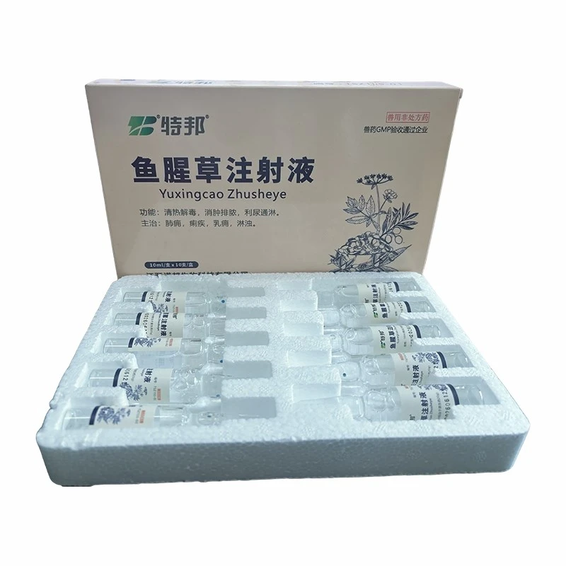 product-800-800